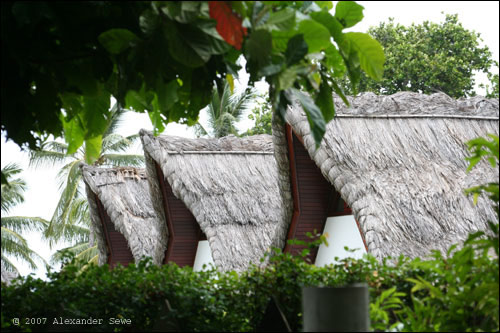 Seychelles straw roof houses